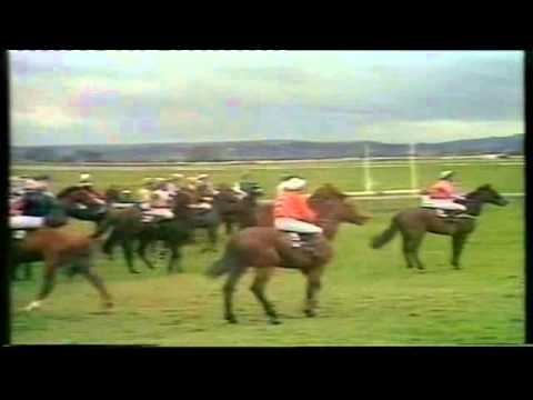 1981 Triumph Hurdle Cheltenham extended footage Baron Blakeney