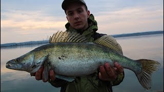 Какая рыба клюет в марте на открытой воде