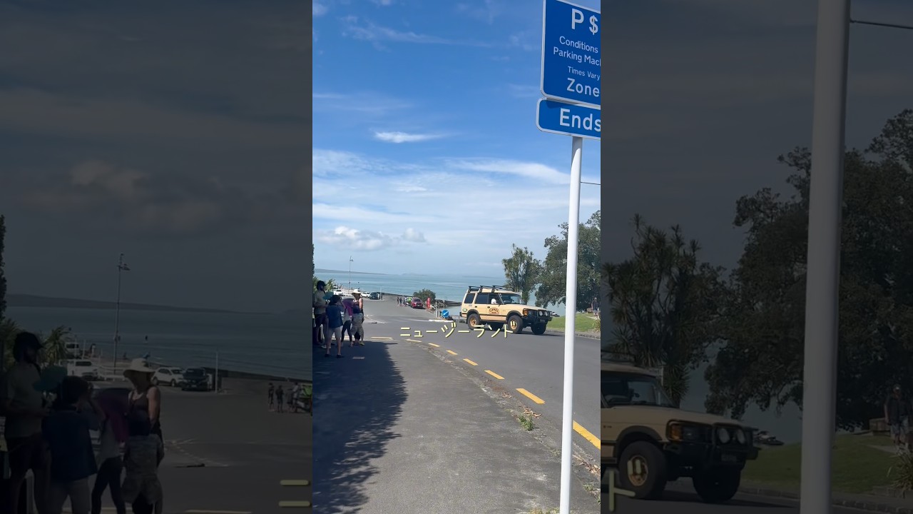 ニュージーランド釣りが謎すぎた。飛べない鳥かわいい。#shorts