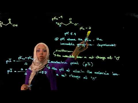 Amino acids, pI, and titration curve