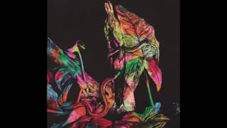 Daniel Freitag - Don't