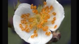 Your Love Is Reaching Me