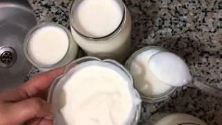 Evde Yoğurt Nasıl Yapılır