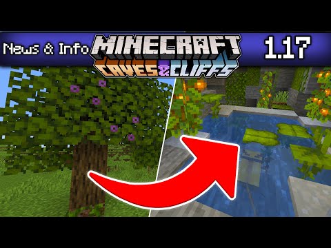 HO TROVATO LE NUOVE CAVERNE! ECCO LE LUSH CAVES! Minecraft 1.17 News & Info