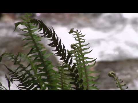 METROPOLIS (2012) - Épisodes 3-4 (sous-titres française)