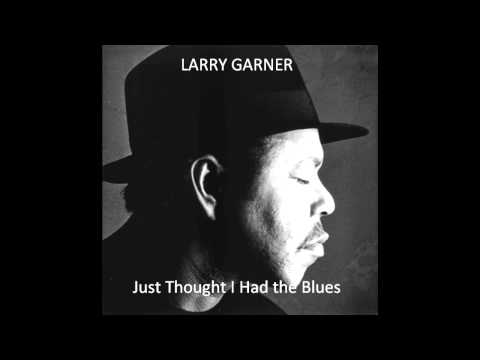Thumbnail for LARRY GARNER - Just Thught I Had the Blues by Larry Garner