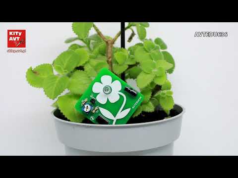 AVTEDU636 - Sygnalizator suchego kwiatka