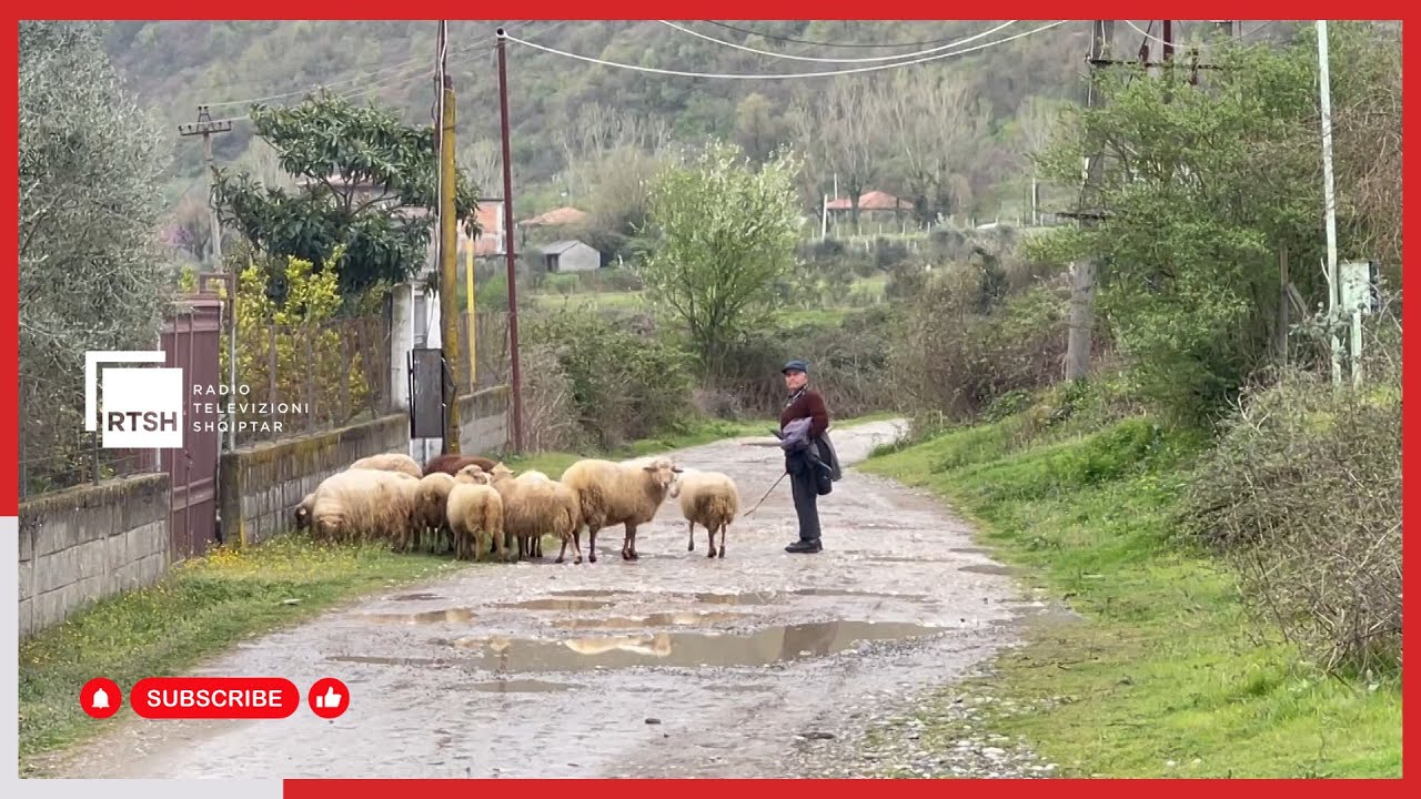 Fermerët e Elbasanit aplikojnë për subvencione, kanë kohë deri më 30 maj
