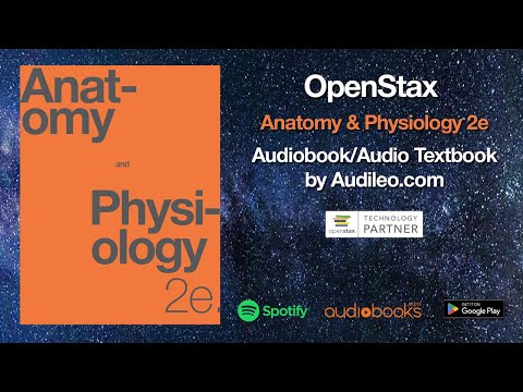 OpenStax Anatomy and Physiology 2e Audiobook/Audio Textbook by Audileo