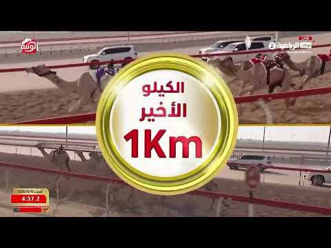 ش 21 (افراح) لـ خليفه سلطان بالرشيد السويدي 6:09:81 ، شارة الديوان 2026/9/12 لقايا الوثبة