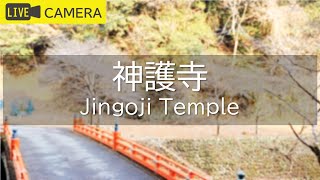 神護寺