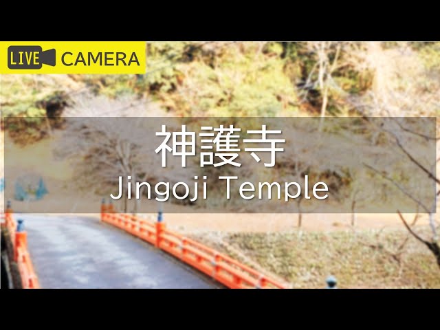 神護寺