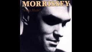 Download lagu Morrissey   Suedehead subtitulada español mp3
