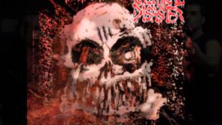 CHEMICAL DISASTER   Third Wound Teaser