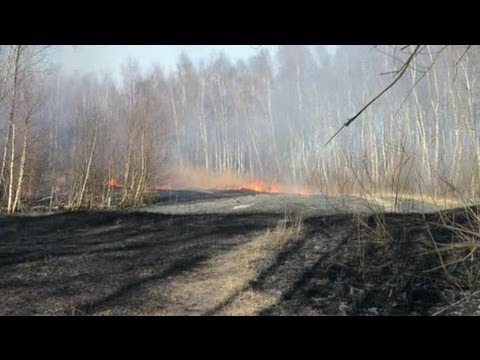 Flertalet gräsbränder - trots minusgrader