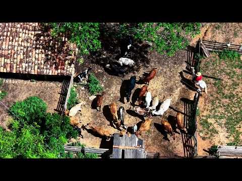 Fazenda Mata capivara município de Vargem Bonita MG