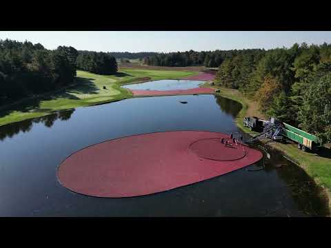Southers Marsh - Golf Club | 4k Drone, Carver MA