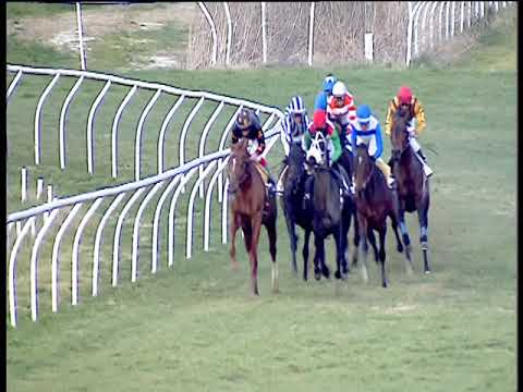 Galoppo 12/02/2019 - 4ª corsa