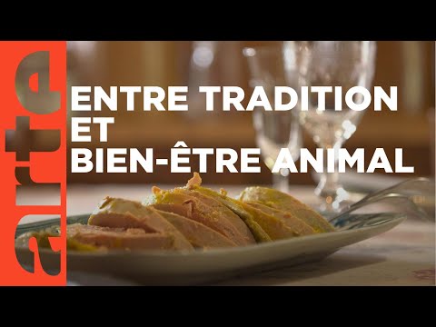 Le foie gras, un mets de choix ? | ARTE Regards