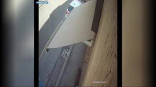Bologna, il video del 54enne incastrato dalle telecamere dopo aver picchiato e derubato due anziane