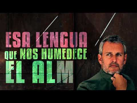 Calma - Rafa Pons