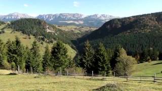 preview picture of video 'Urcand din Moieciu de Sus spre Fundata la Coltii lui Pitigoi'