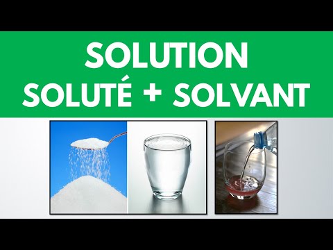 What is a solution? Solute? Solvent? | Middle School | Physics and Chemistry