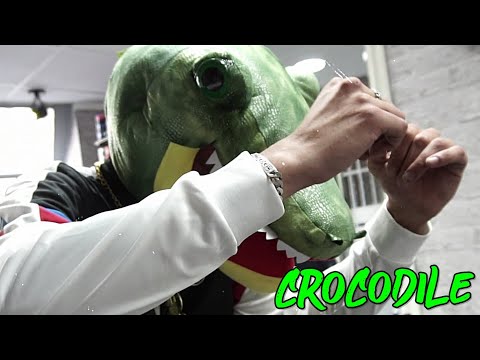 VIC'S POINT ROUGE - Crocodile (Clip Officiel) ft HASHDIVY