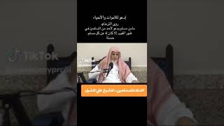 أ.د. علي الشبل | ادعوا للأموات والأحياء image