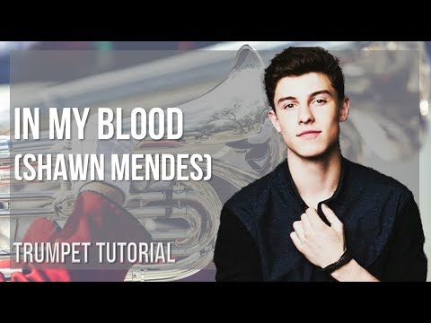 How to play In My Blood by Shawn Mendes on Trumpet (Tutorial)
