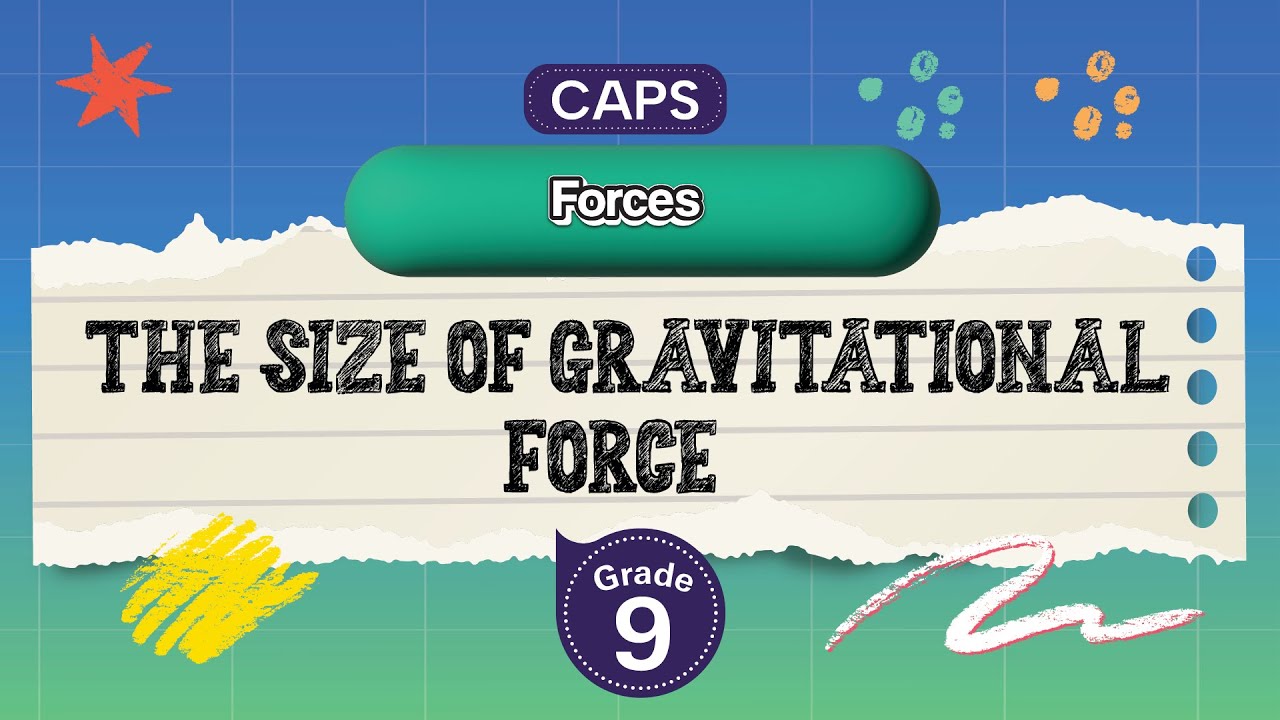 [GRADE 9] The size of gravitational force