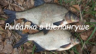 Клев рыбы на выходные в марий эл