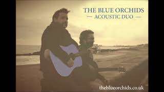 The Blue Orchids Duo - Fool (Blur cover)