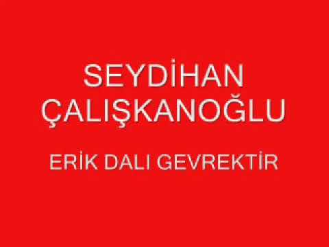 SEYDİHAN ERİK DALI
