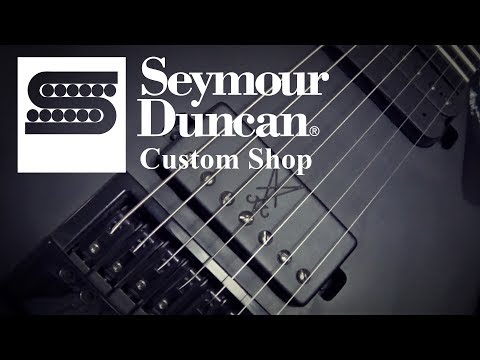 Seymour Duncan Custom Shop Pickup (Black Winter + Nazgul = Necromancer)