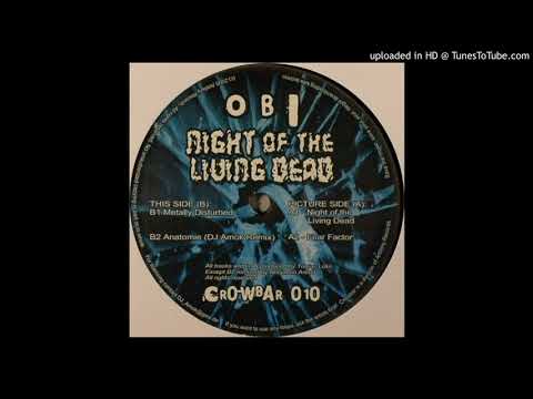 O.B.I. - Fear Factor