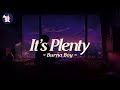 Burna Boy - It's Plenty | Audio