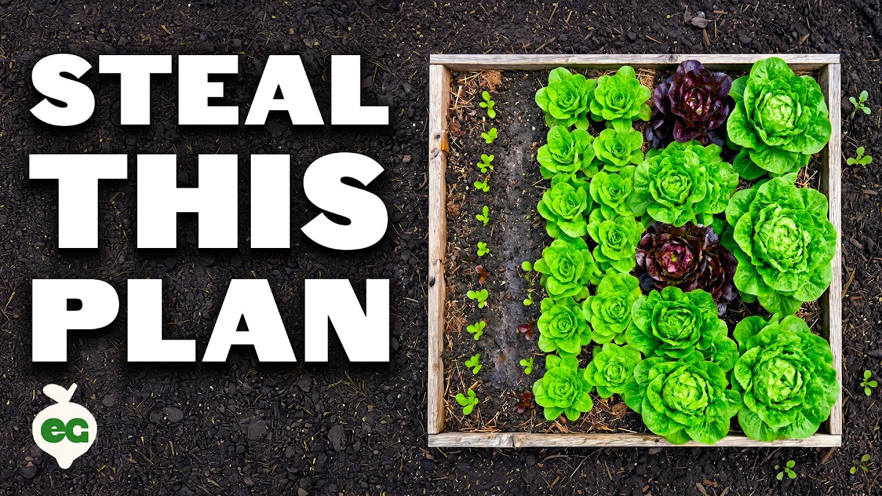 Exactly How Much To Plant for a Family of 4