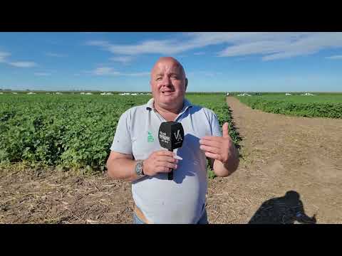 Dialogamos con el Ing. Lenardón en la Jornada de Especialización 2026, de Semillero Don Lorenzo