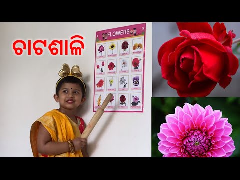 Flowers names for kids A to Z |  A to Z ପୁଂଲ ର ନାମ ।#princesskrishika