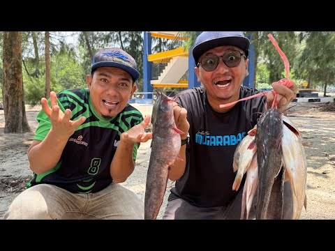 DAPAT SEMBILANG BETELUR MASAK ASAM PEDAS