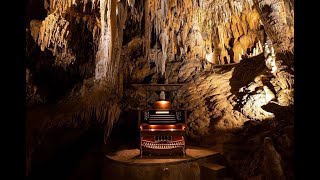 This Is the Oldest, Weirdest Instrument On Earth