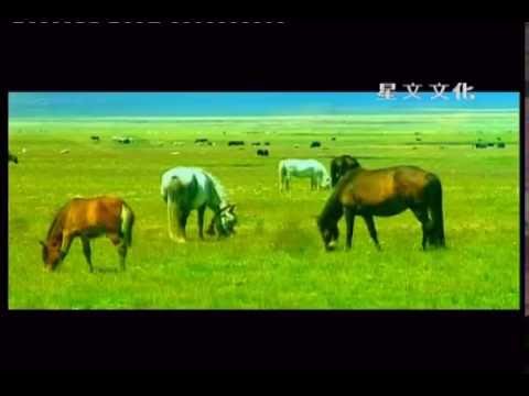 此曲只应天上有！会说话的大提琴降央卓玛《黑帐篷》程强词 更嘎才旦曲