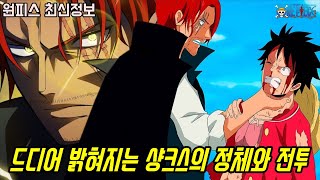 [원피스]드디어 밝혀진 사황 샹크스 해적단의 정보와 앞으로 공개 될 샹크스 VS 미호크 전투...