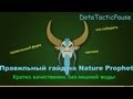 DTP:Правильный гайд на Фуриона (Nature Prophet) 