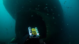 Tasman Hauler CCR Wreck Dive