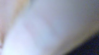 久々のライブ