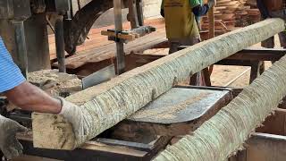 Increasing 5x7 Coconut Wood Production Results with Sawmill Technology