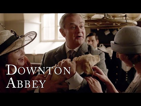 Robert Crawley Gets a New Puppy | Downton Abbey