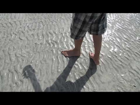 Video thumbnail for Armadilhas